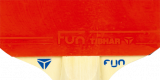 FUN_Samsonov_mould_front-160x80