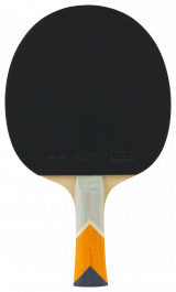 XXX_Orange_Edition_Bat_Back_1-1-160x265